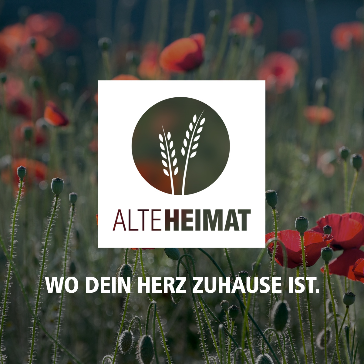 Alte Heimat Berge Logo