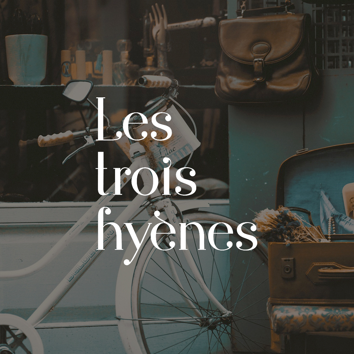 Les trois hyenes Label Logogestaltung